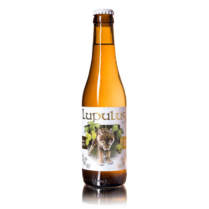 Lupulus Blonde - Lupulus - Bière Belge